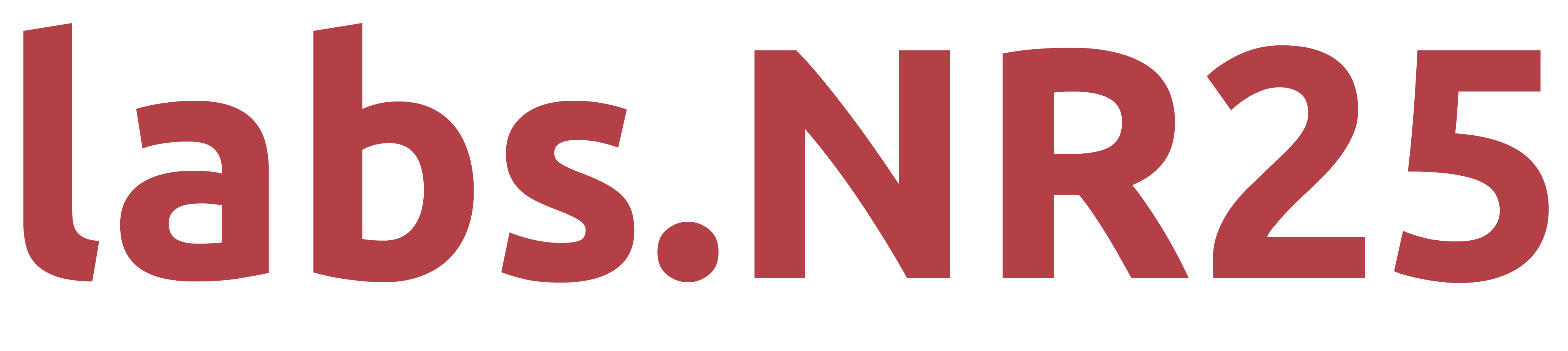 NR25 logo